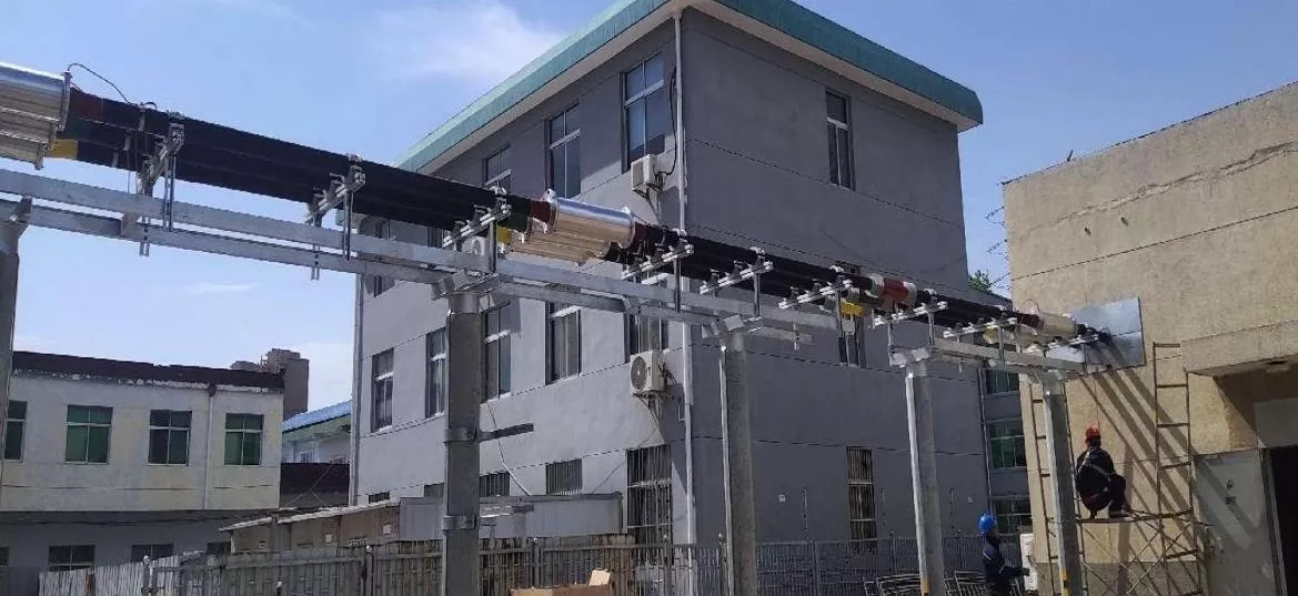 12kV5000A 生物质发电